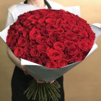 Букет из 101 розы (60 см)