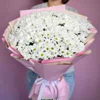 Букет из 31 кустовой хризантемы
