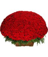Корзина из 1001 розы