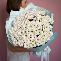 Букет из 25 кустовых хризантем